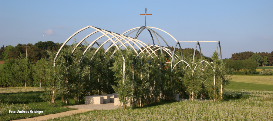 Weidenkirche im Frühling 